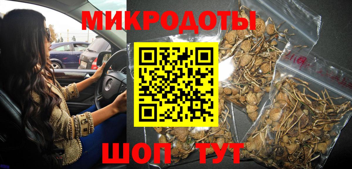 Чебаркуль  Псилоцибиновые грибы прущие грибы  Вход с VPN 